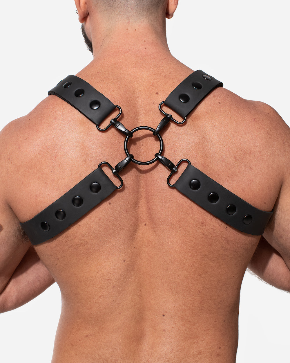 Scorpion Harness