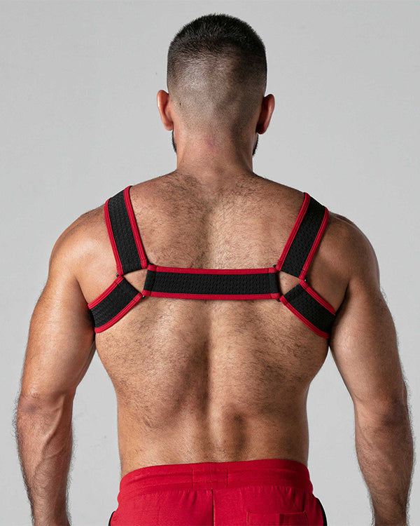 Look at Harness