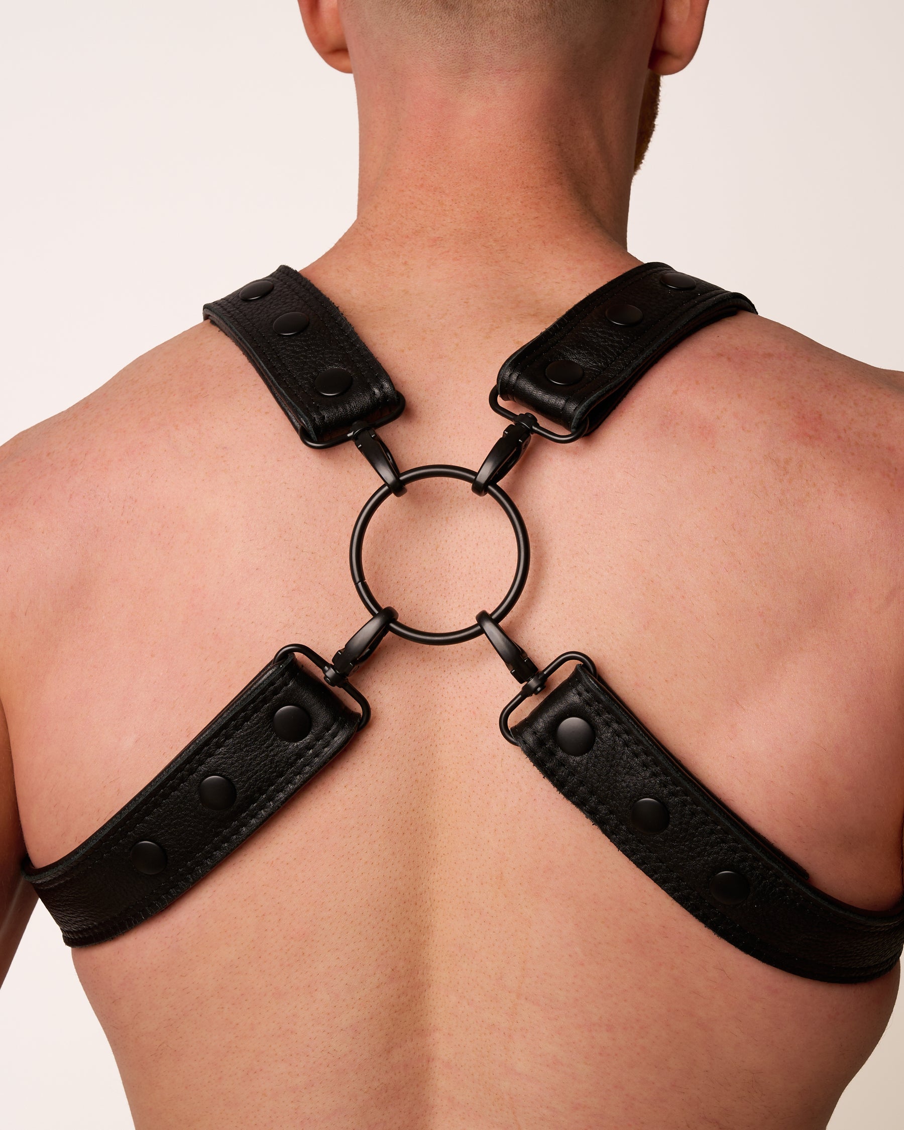 Folsom Leather Harness