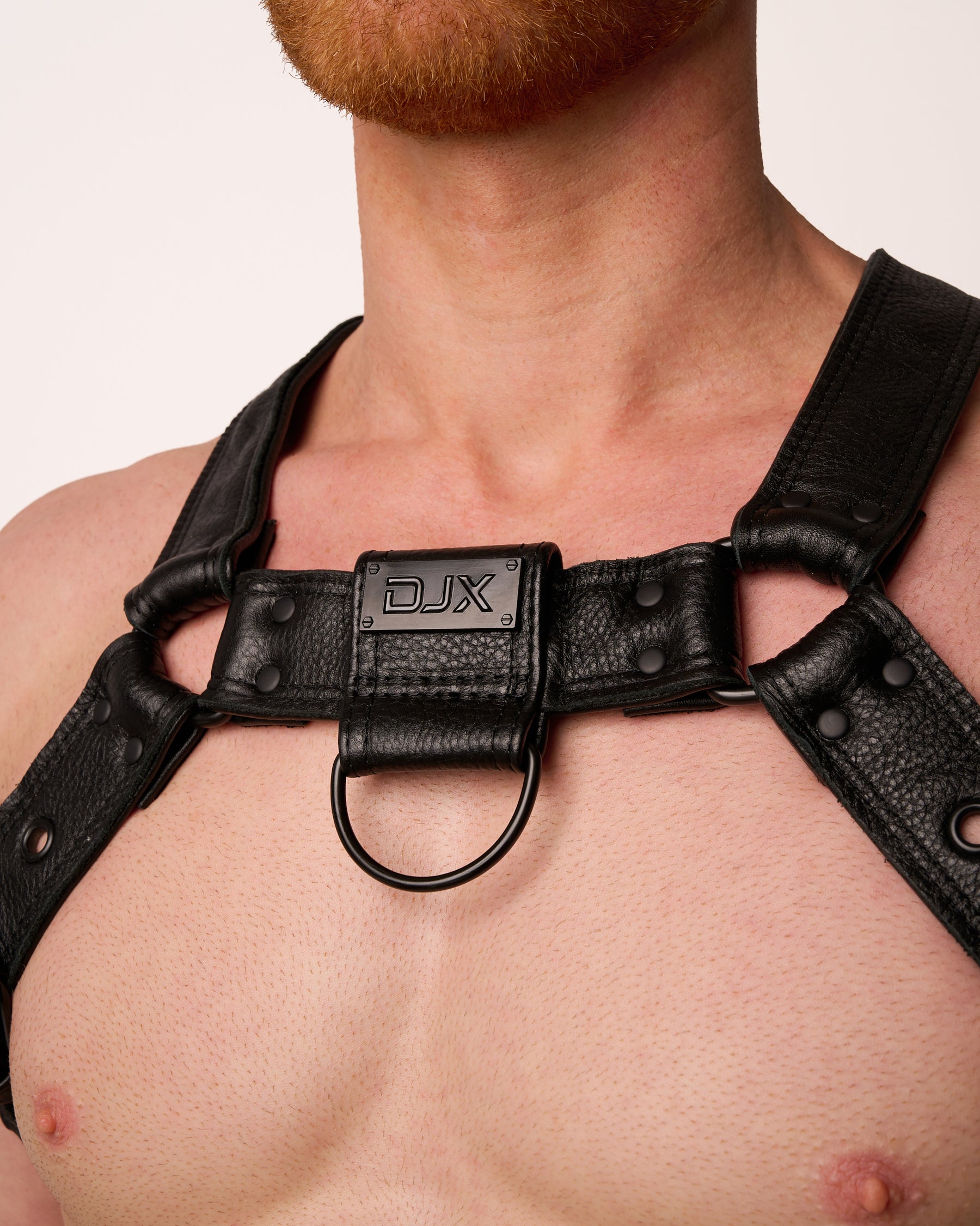 Folsom Leather Harness